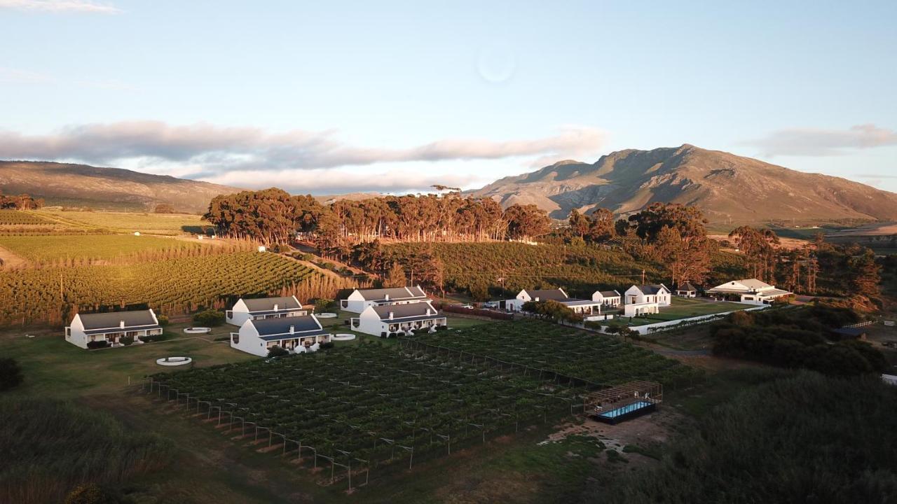 Endless Vineyards At Wildekrans Wine Estate Pensionat Botrivier Exteriör bild