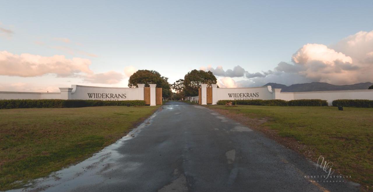 Endless Vineyards At Wildekrans Wine Estate Pensionat Botrivier Exteriör bild