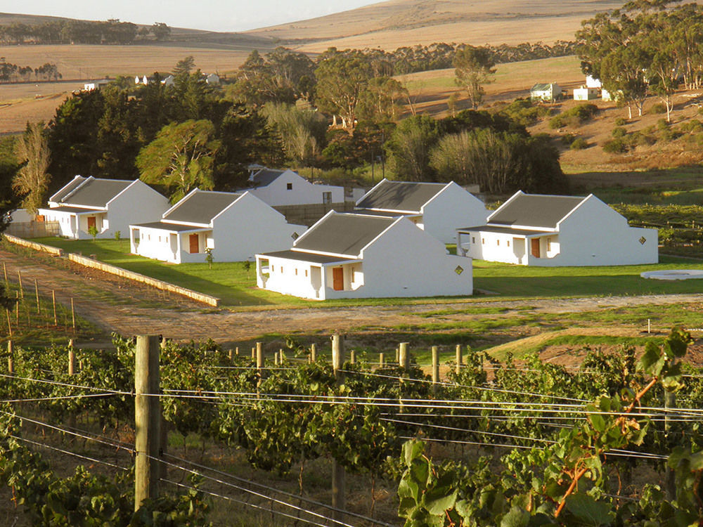 Endless Vineyards At Wildekrans Wine Estate Pensionat Botrivier Exteriör bild