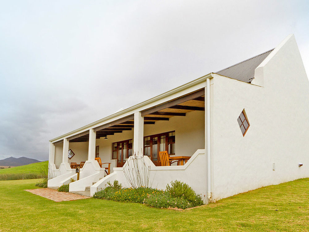 Endless Vineyards At Wildekrans Wine Estate Pensionat Botrivier Exteriör bild