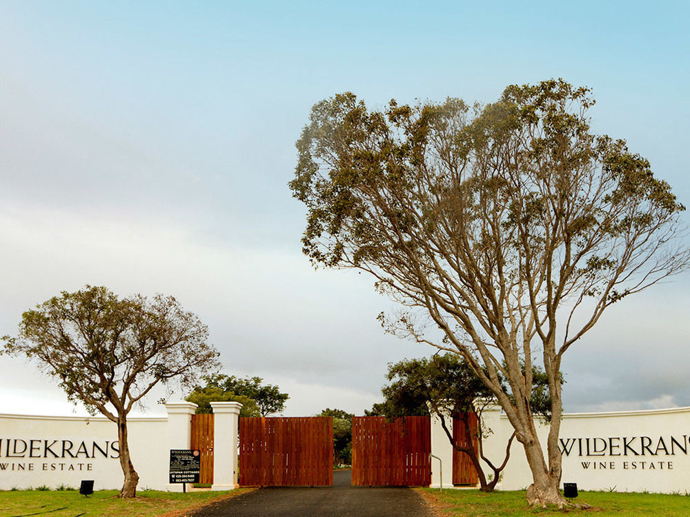 Endless Vineyards At Wildekrans Wine Estate Pensionat Botrivier Exteriör bild