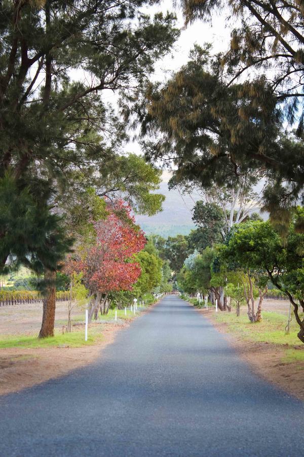 Endless Vineyards At Wildekrans Wine Estate Pensionat Botrivier Exteriör bild