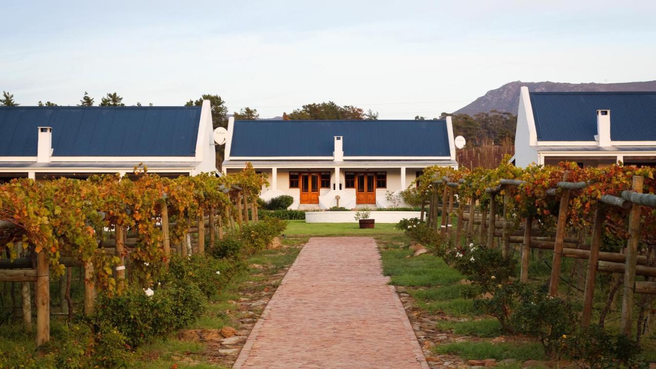 Endless Vineyards At Wildekrans Wine Estate Pensionat Botrivier Exteriör bild
